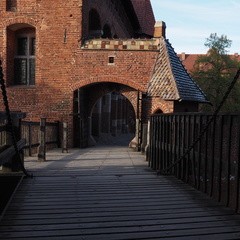 P5051442