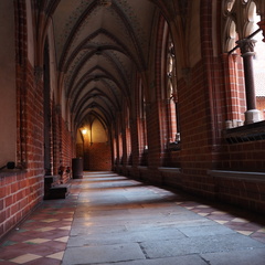 P5051425