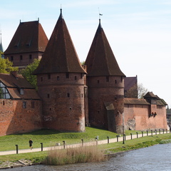 P5051347