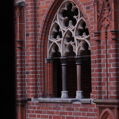 P5051427