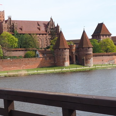 P5051339