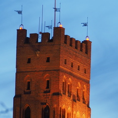 P5051494