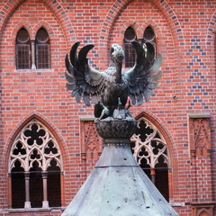 P5051403