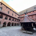 IMG 5897
