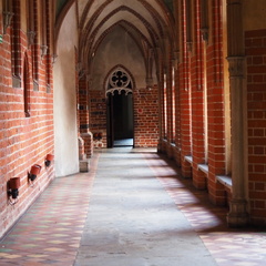 P5051389