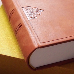 P5043339
