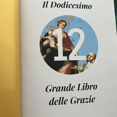 IMG 9772