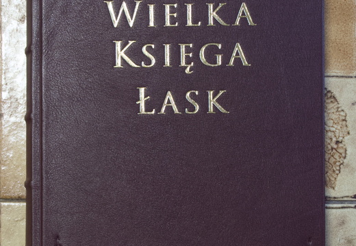księga8